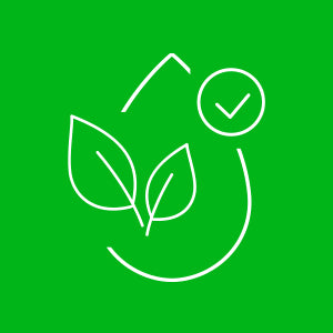 100% Ubiquinone CoQ10 Naturally Fermented