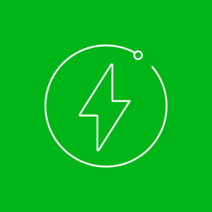 Supports Natural Energy & Vitality