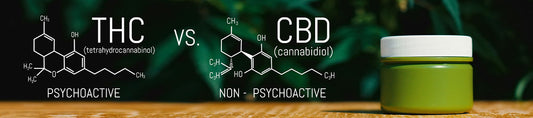 Endocannabinoid System