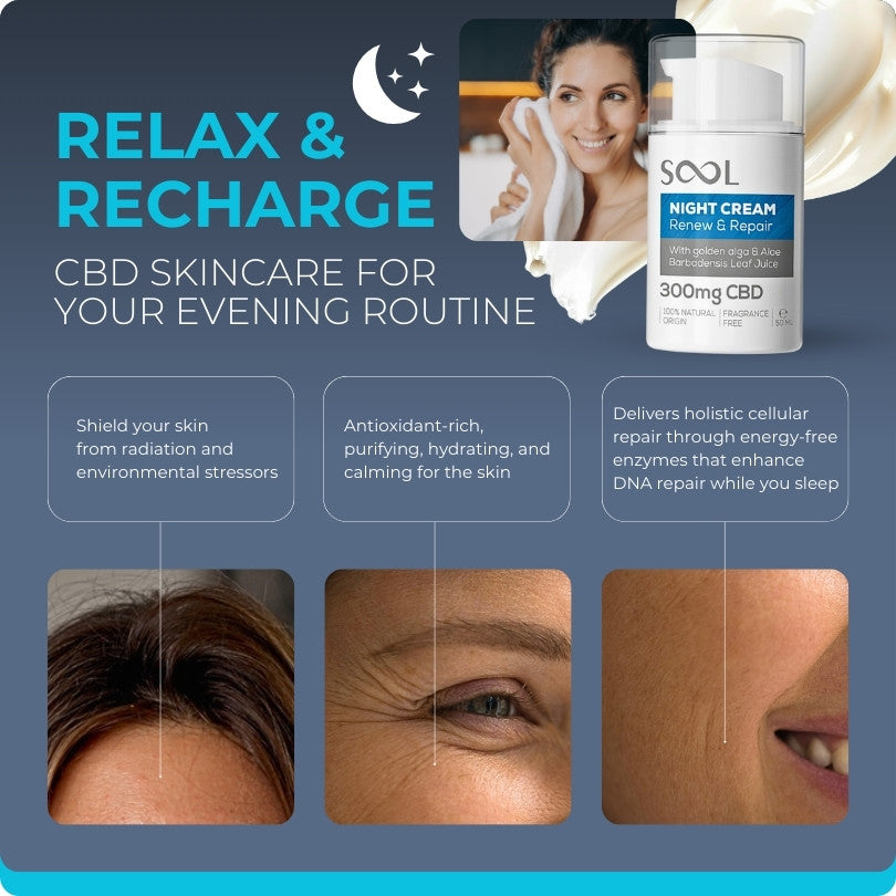 Sool Cbd Night  Cream Effect