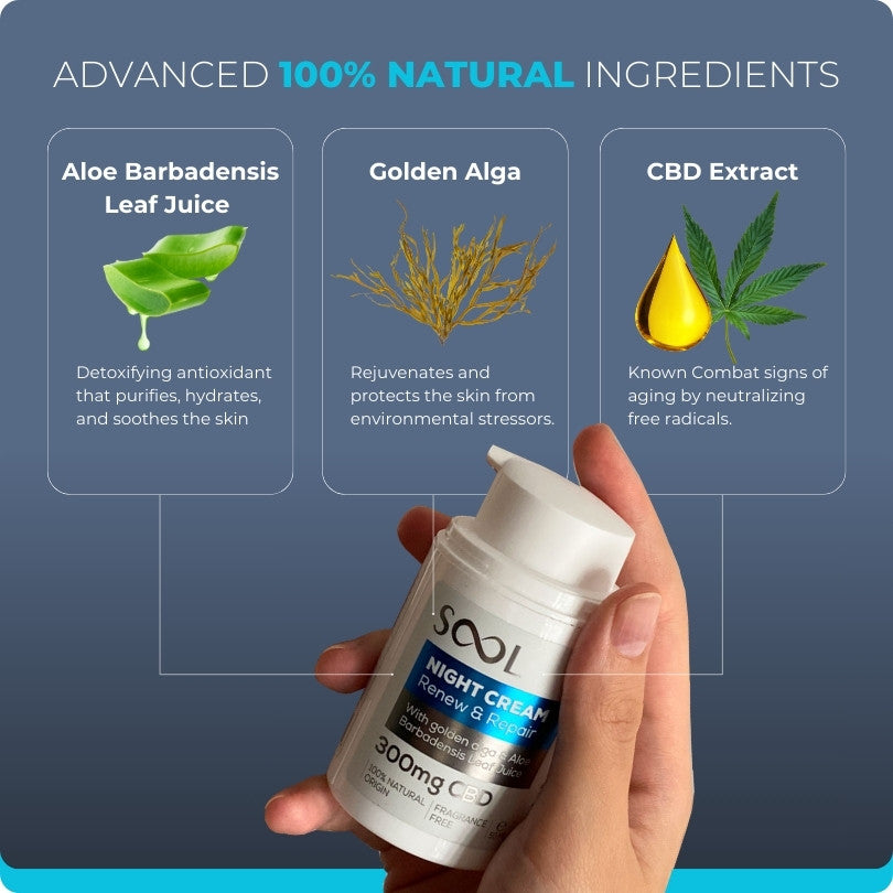 Cbd Night Cream Ingredients