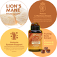 Sool Lion`s Mane Brain Support Gummies Benefits