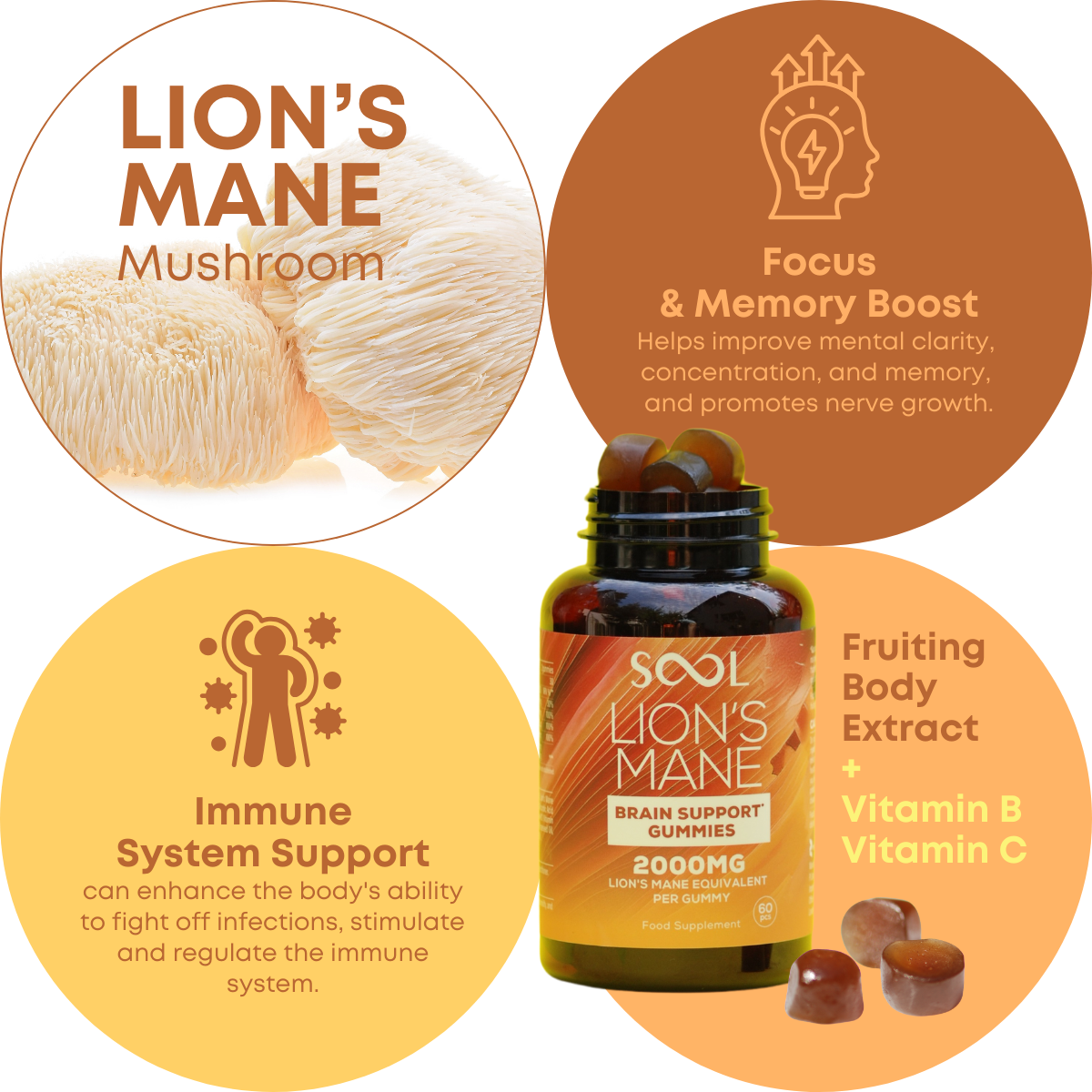 Sool Lion`s Mane Brain Support Gummies Benefits